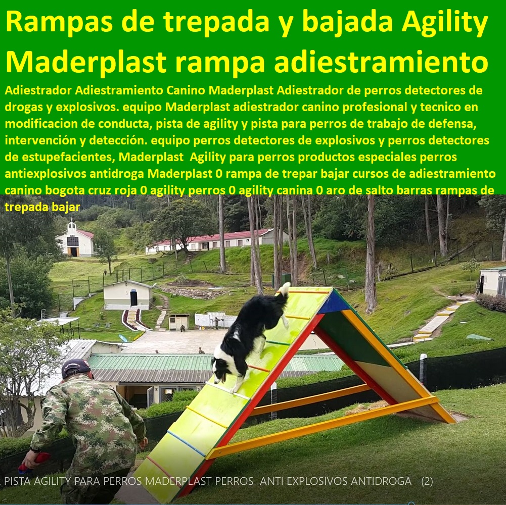 Agility Canino Circuito Entrenamiento de Perros Pista Adiestramientos perros Guías 0 rampa trepar escuela de agility para perros 0 Canes Guías Antiexplosivos Antidroga 0 adiestramiento canino bogota 0 cursos de agility para perros 0 Canes Agility Canino Circuito Entrenamiento de Perros Pista Adiestramientos perros Guías 0 rampa trepar escuela de agility para perros 0 Canes Guías Antiexplosivos Antidroga 0 adiestramiento canino bogota 0 cursos de agility para perros 0 Canes